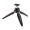 الحوامل الصغيرة