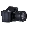 كاميرا كانون EOS 250D الرقمية DSLR