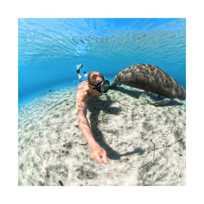 Insta360 Invisible Dive Case for X5